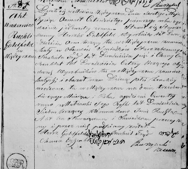 1841 Miedzyrzec Podlaski birth record for my 3rd-great grandmother Ruchla Goldfeld. I translated the Polish info on this document by knowing just a couple key phrases and learning the cursive handwriting.